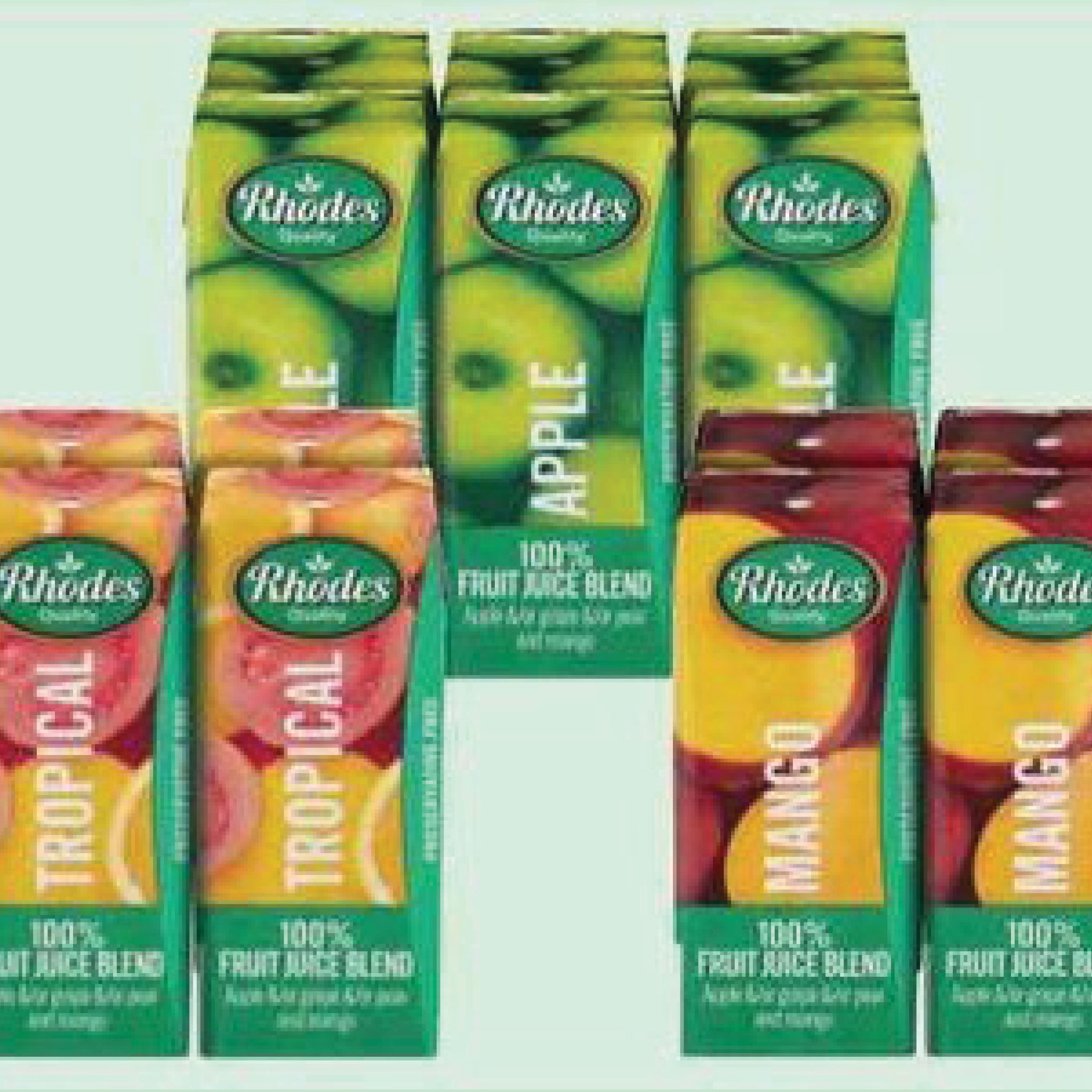 Rhodes Assorted Fruit Juice 24 x 200ml – Caterlink SA